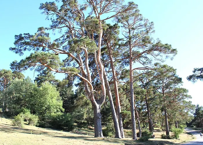 Casa Fuente Salada - * Vinuesa